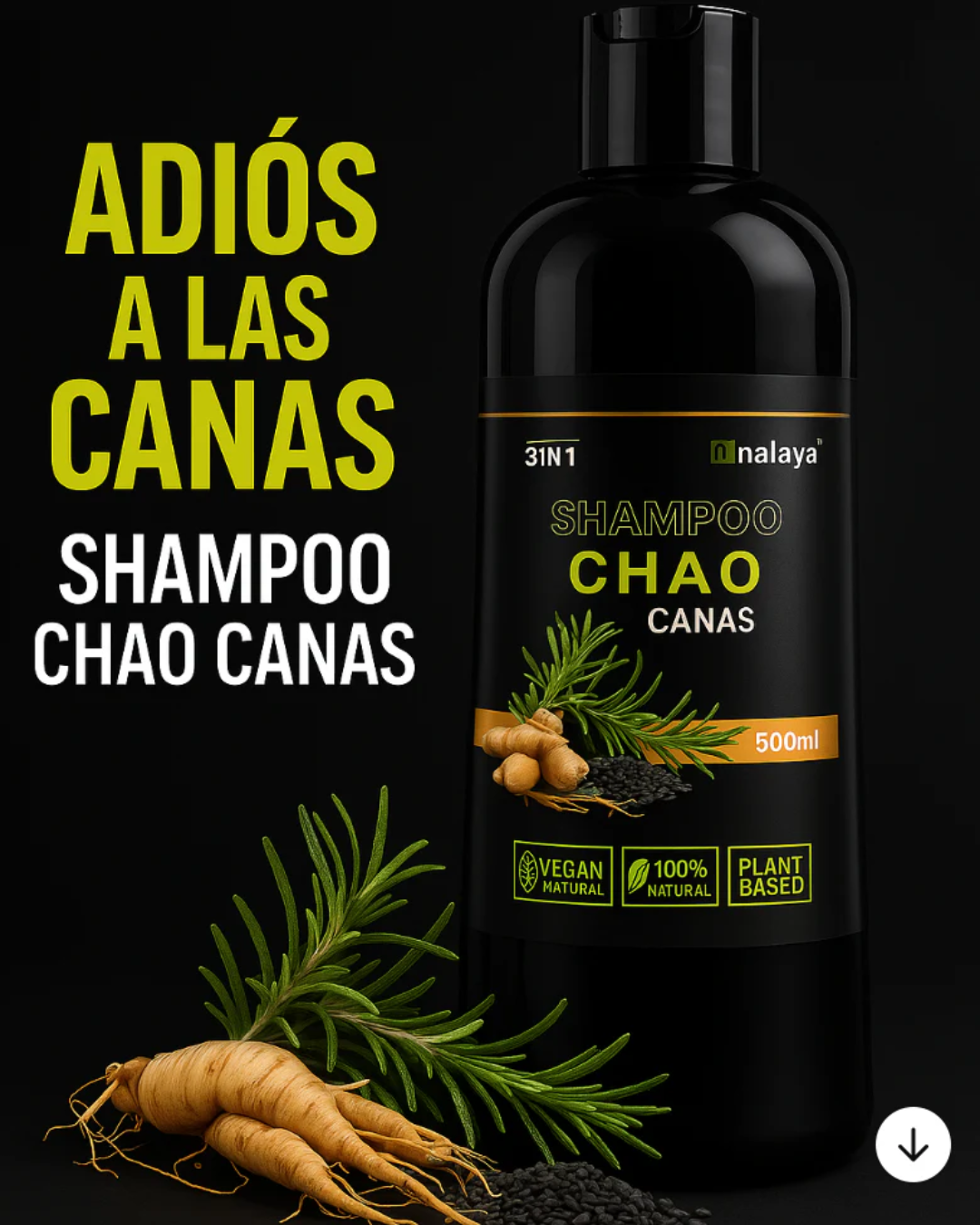 SHAMPOO CHAO CANAS +GRATIS TRATAMIENTO